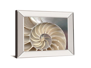 Nautilus By Levine, A. 22X26 Mirror Frame Print