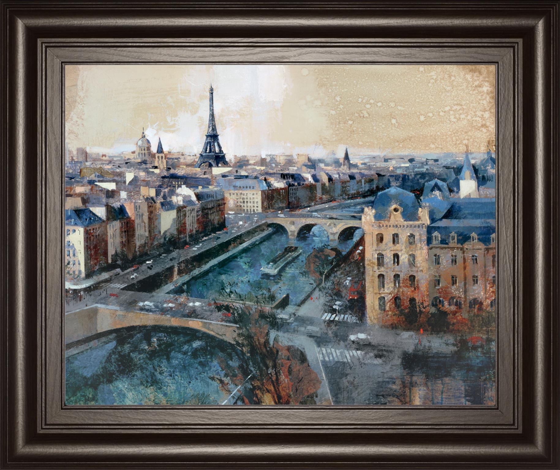 Ciel De Paris By Bofarull, M. 22X26 Framed Print