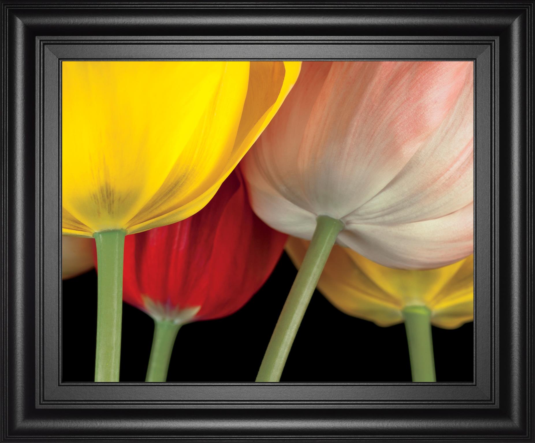 Sunshine Tulips By Frank, A. 22X26 Framed Print