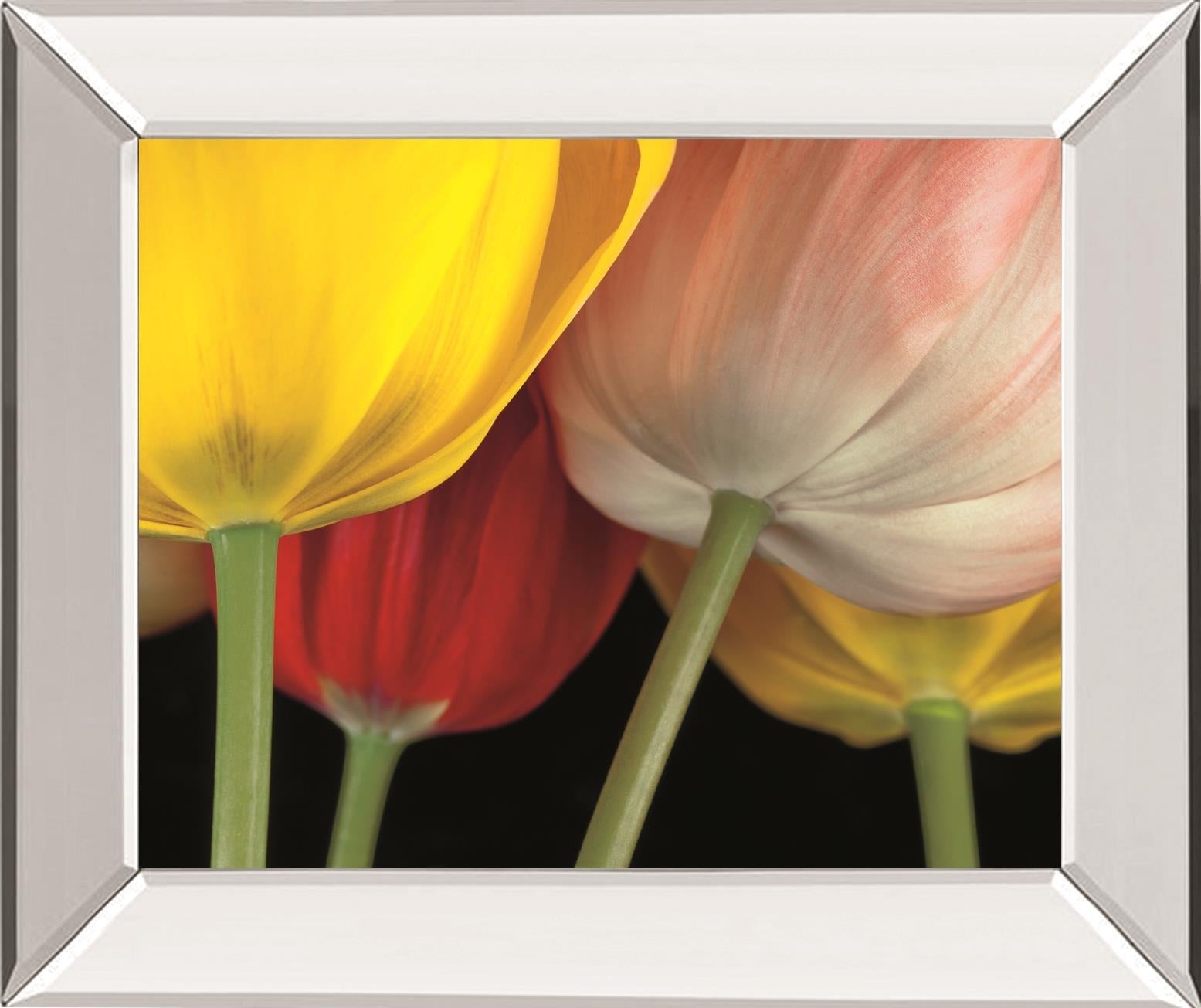 Sunshine Tulips By Frank, A. 22X26 Mirror Frame Print