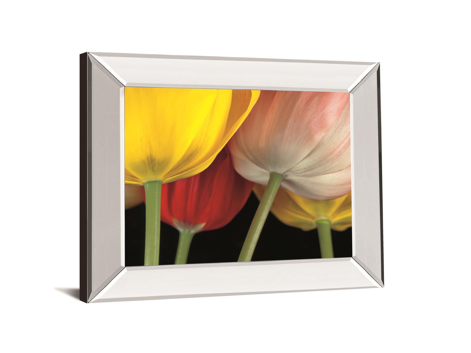Sunshine Tulips By Frank, A. 22X26 Mirror Frame Print