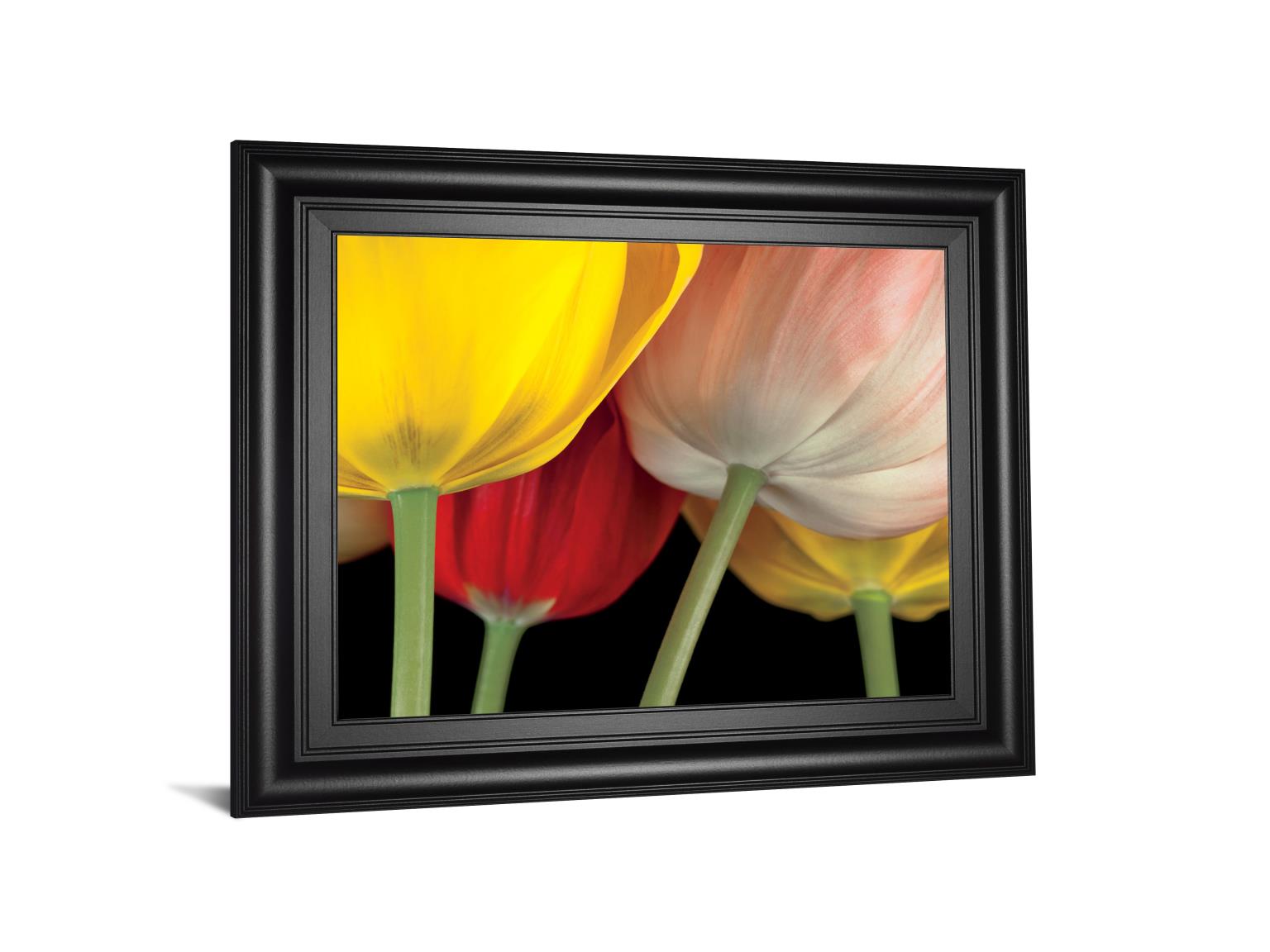 Sunshine Tulips By Frank, A. 22X26 Framed Print