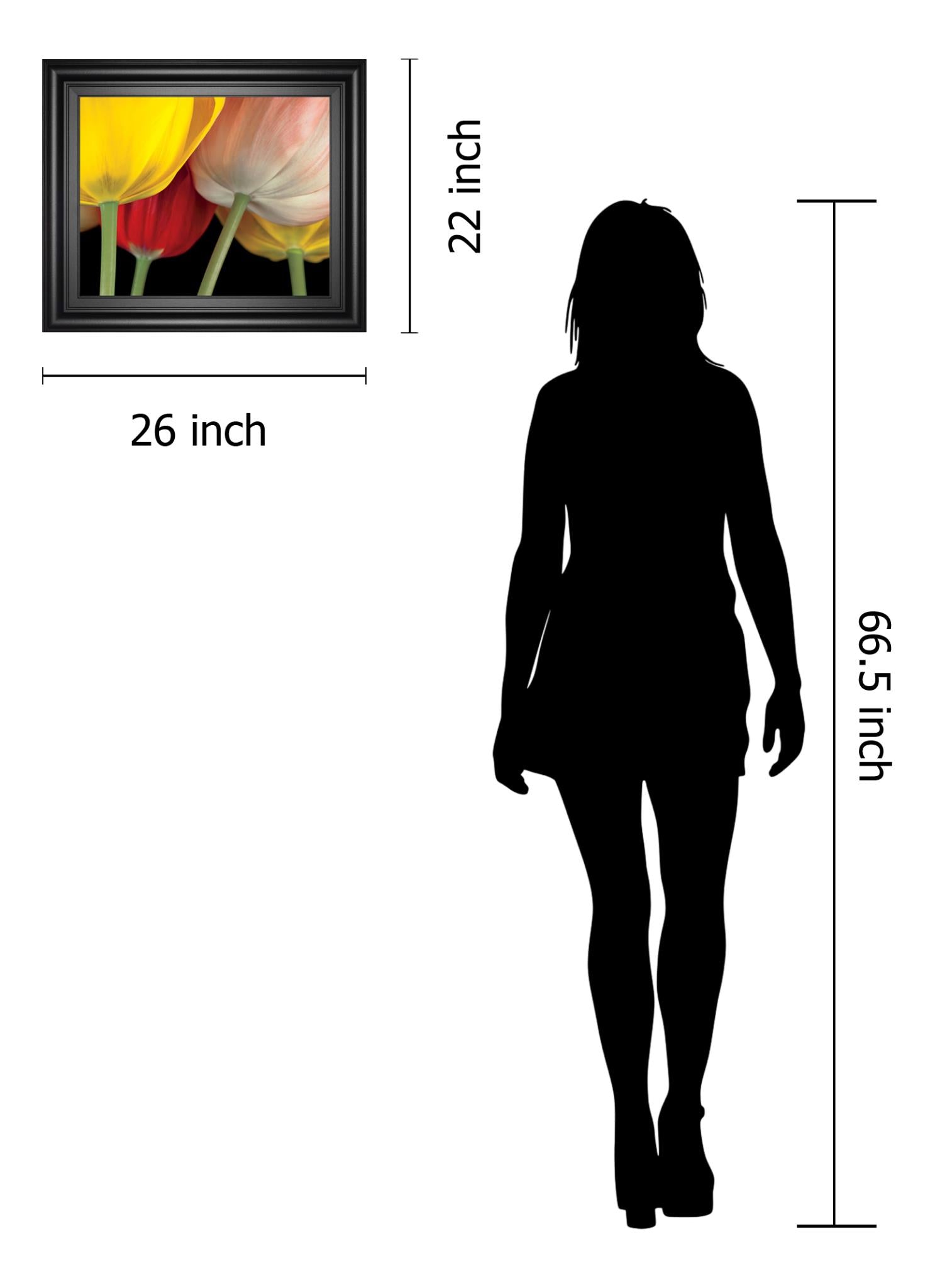 Sunshine Tulips By Frank, A. 22X26 Framed Print