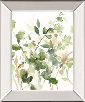 Sage Garden I By Carol Robinson 22X26 Mirror Frame Print