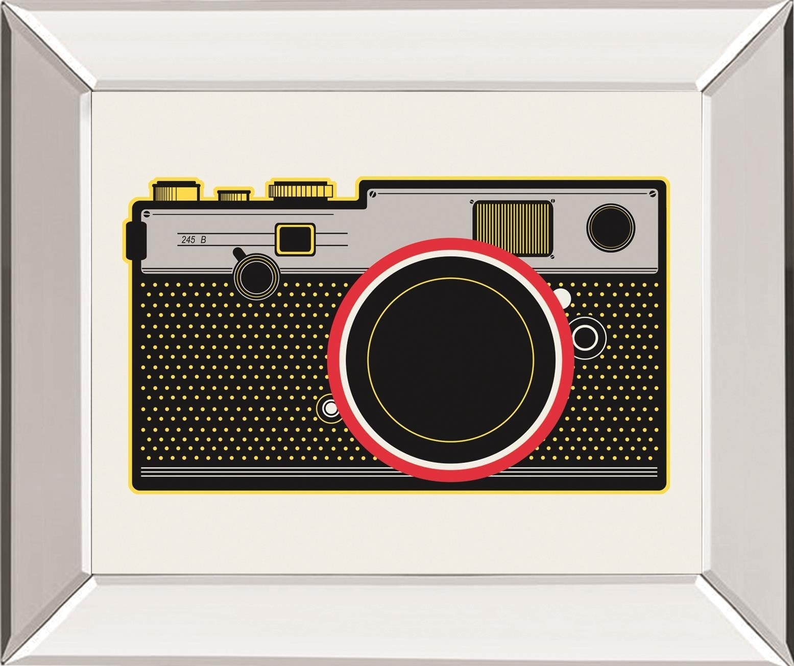 Snapshot By Tom Frazier 22X26 Mirror Frame Print