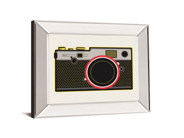 Snapshot By Tom Frazier 22X26 Mirror Frame Print