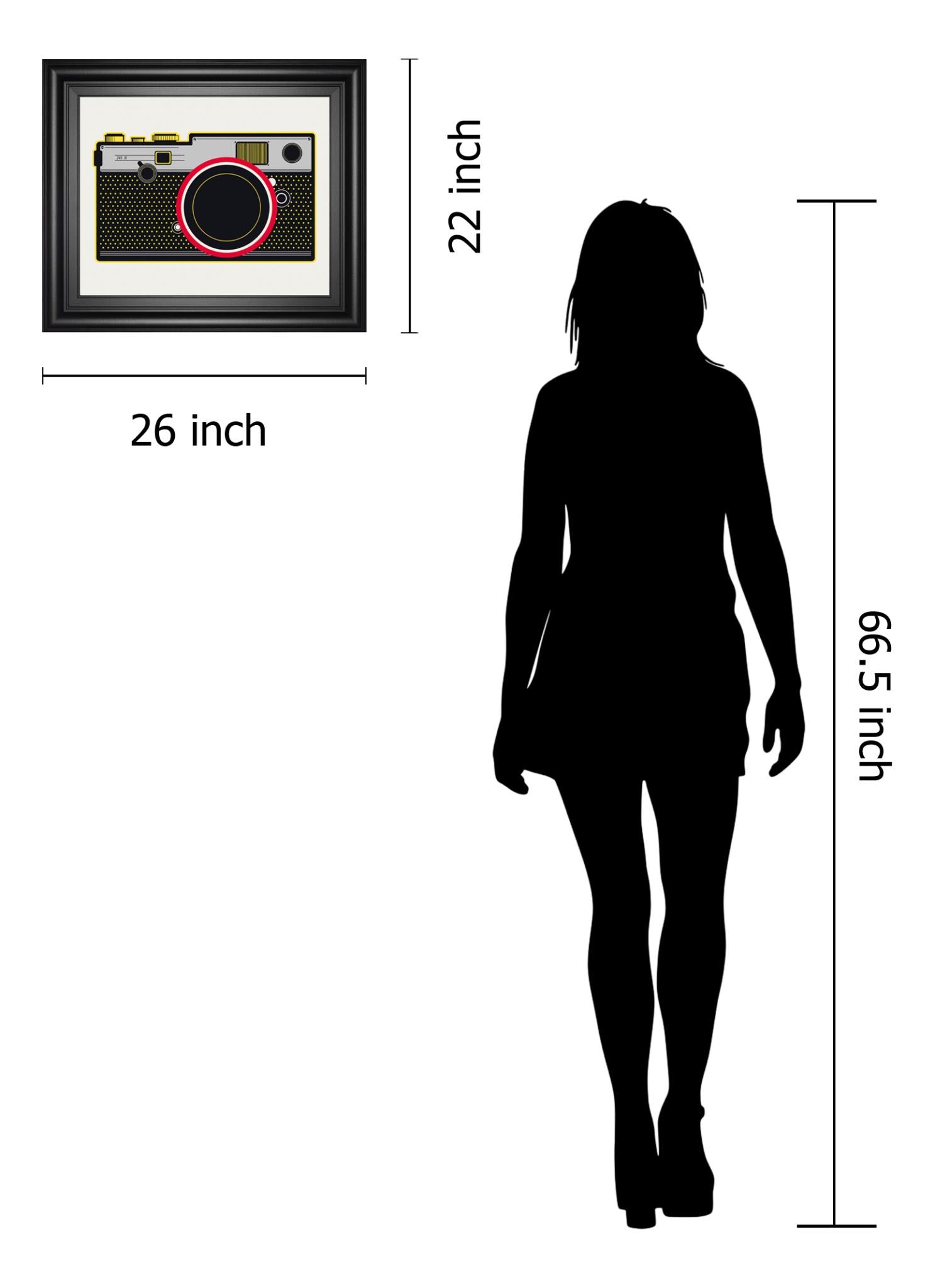 Snapshot By Tom Frazier 22X26 Framed Print