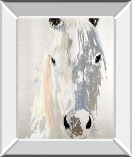 Sage By Marvin Pelkey 22X26 Mirror Frame Print