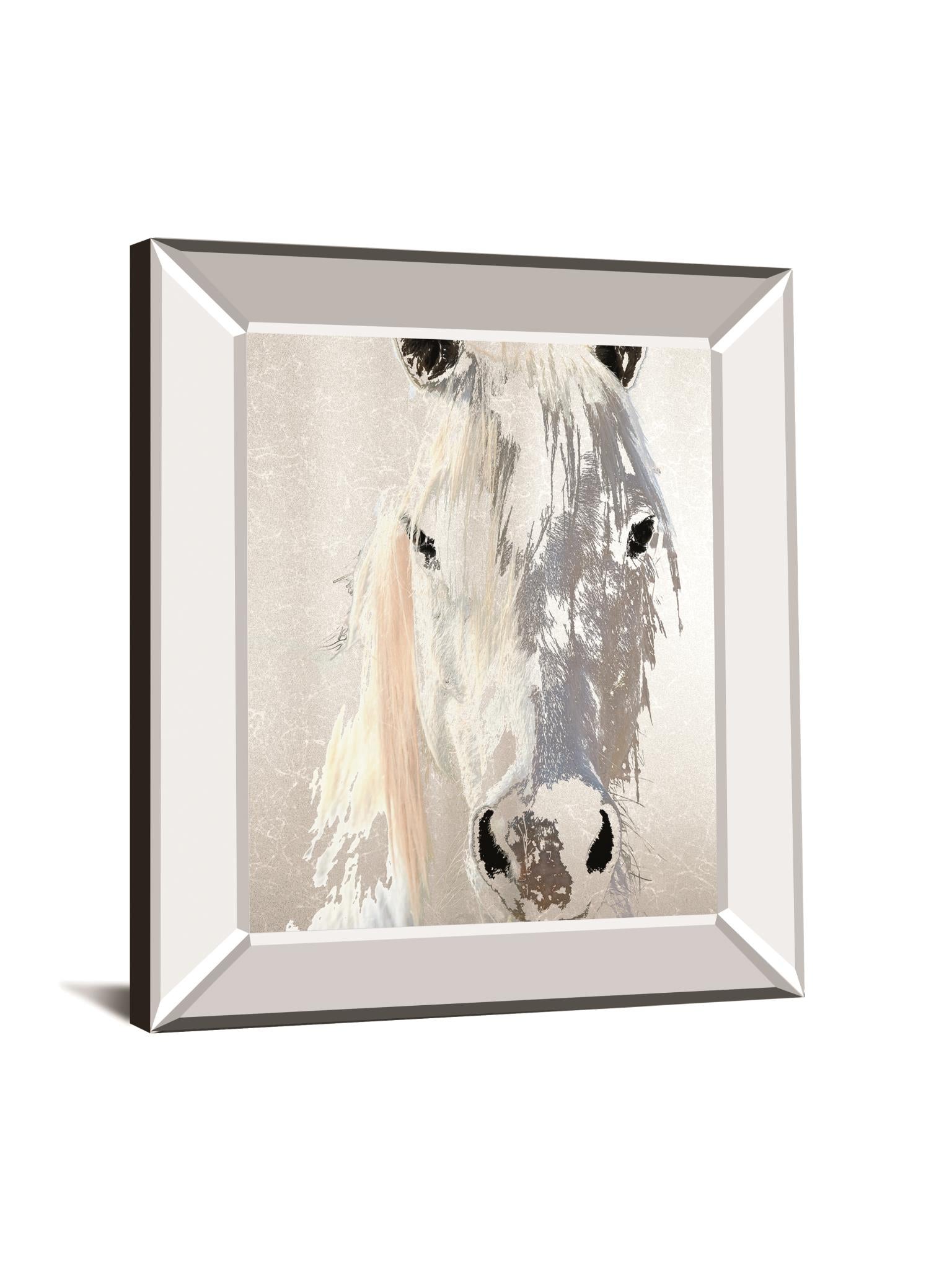 Sage By Marvin Pelkey 22X26 Mirror Frame Print