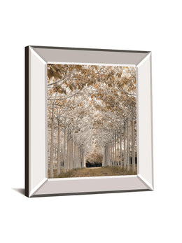 White Gold By Assaf Frank 22X26 Mirror Frame Print