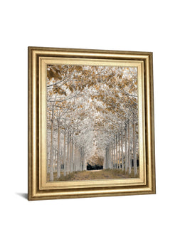 White Gold By Assaf Frank 22X26 Framed Print