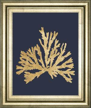 Pacific Sea Mosses Iv Indigo By Wild Apple Portfolio 22X26 Framed Print