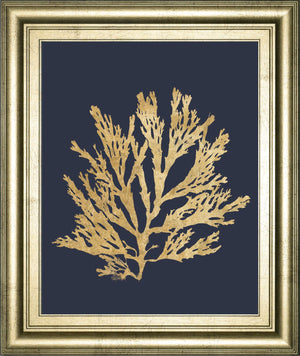 Pacific Sea Mosses I Indigo By Wild Apple Portfolio 22X26 Framed Print