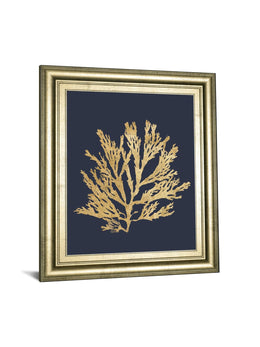 Pacific Sea Mosses I Indigo By Wild Apple Portfolio 22X26 Framed Print