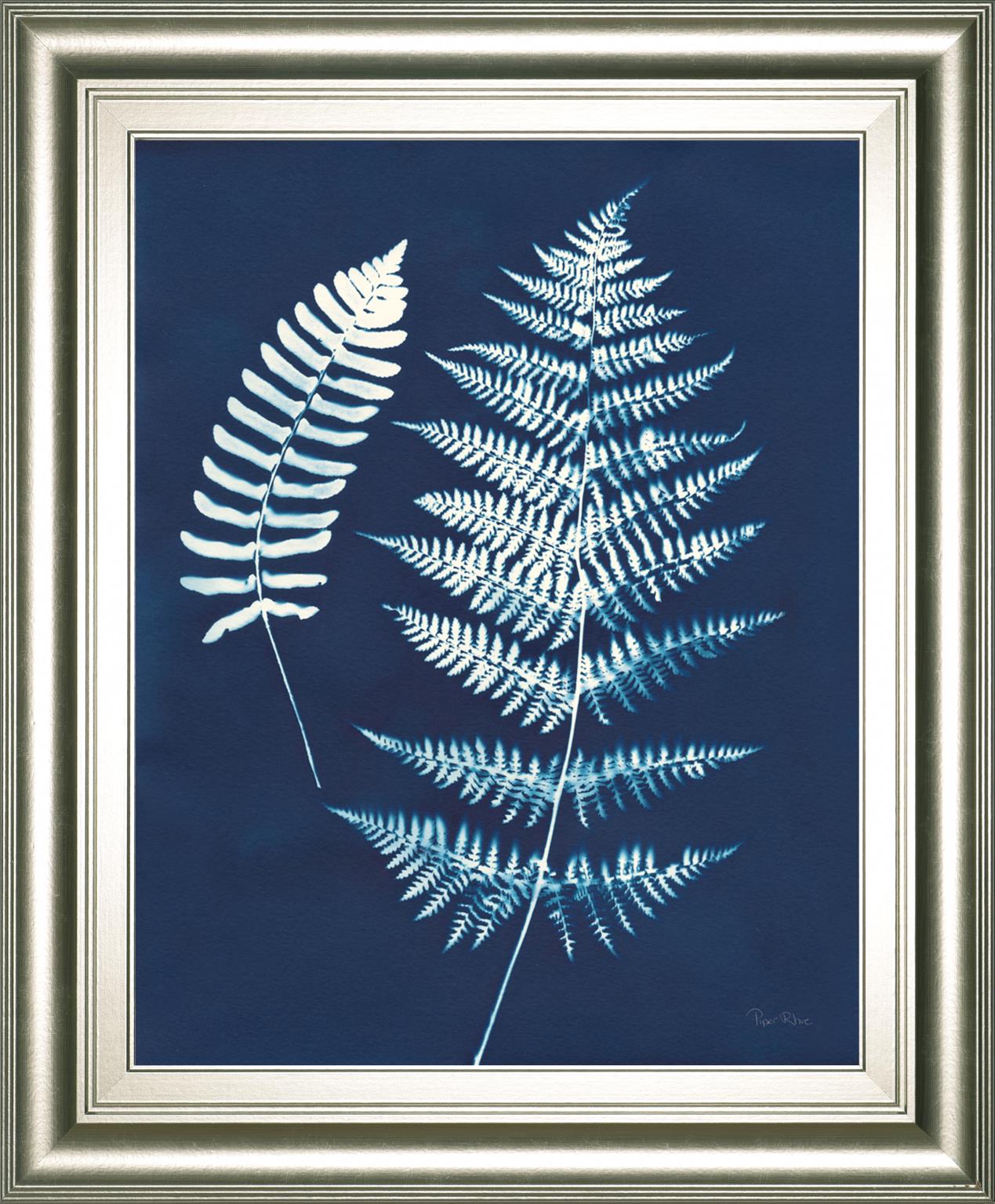 Nature By The Lake Ferns V By Piper Rhue 22X26 Framed Print
