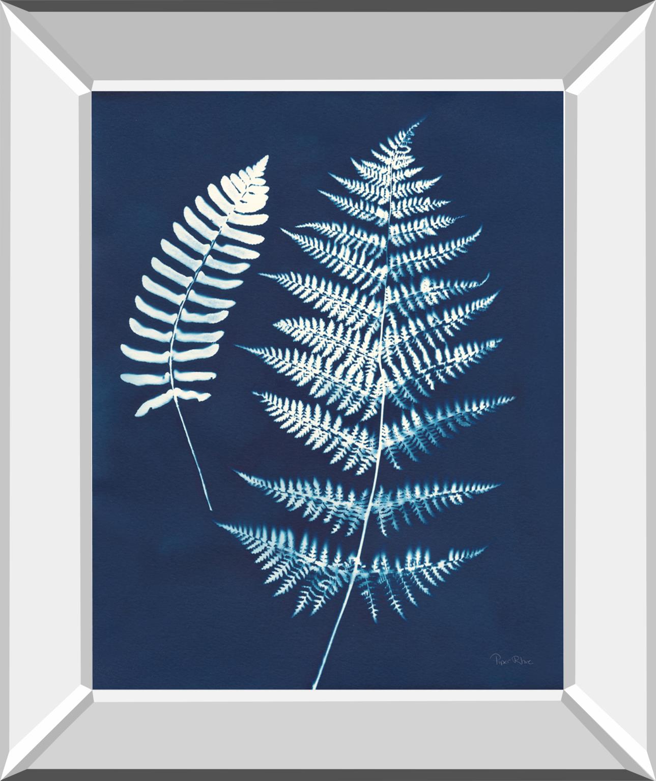Nature By The Lake Ferns V By Piper Rhue 22X26 Mirror Frame Print