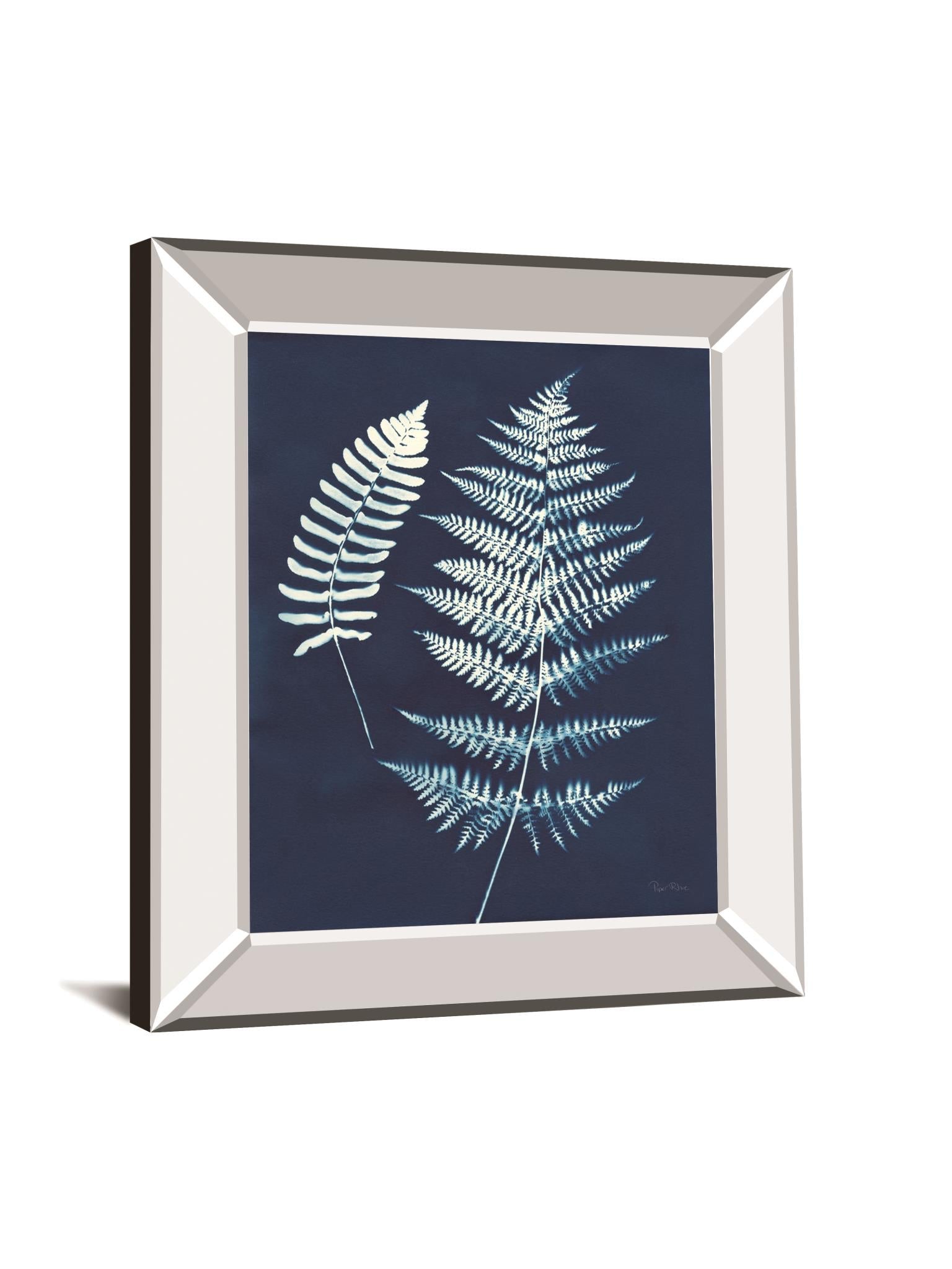 Nature By The Lake Ferns V By Piper Rhue 22X26 Mirror Frame Print