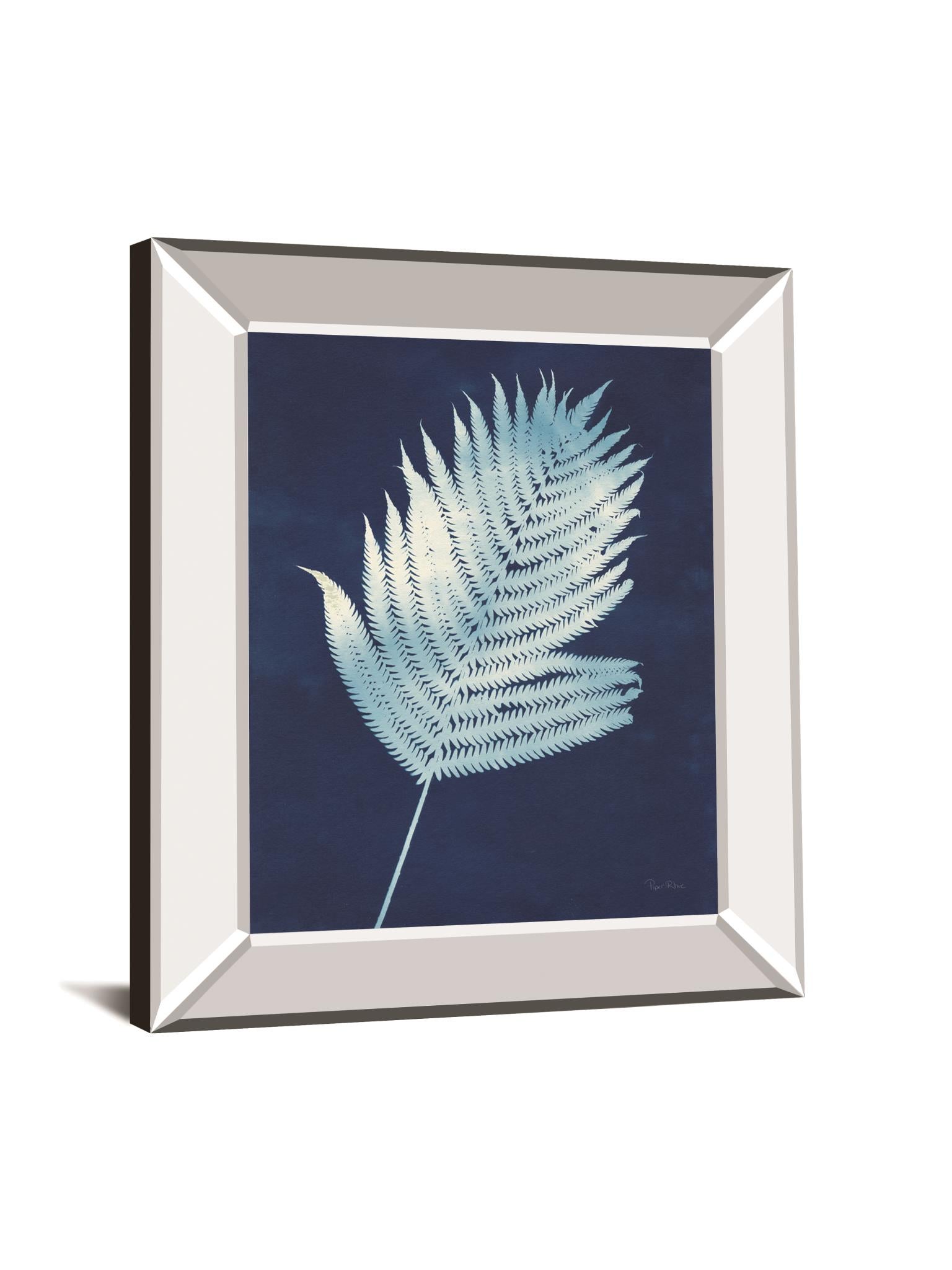 Nature By The Lake Ferns Iii By Piper Rhue 22X26 Mirror Frame Print