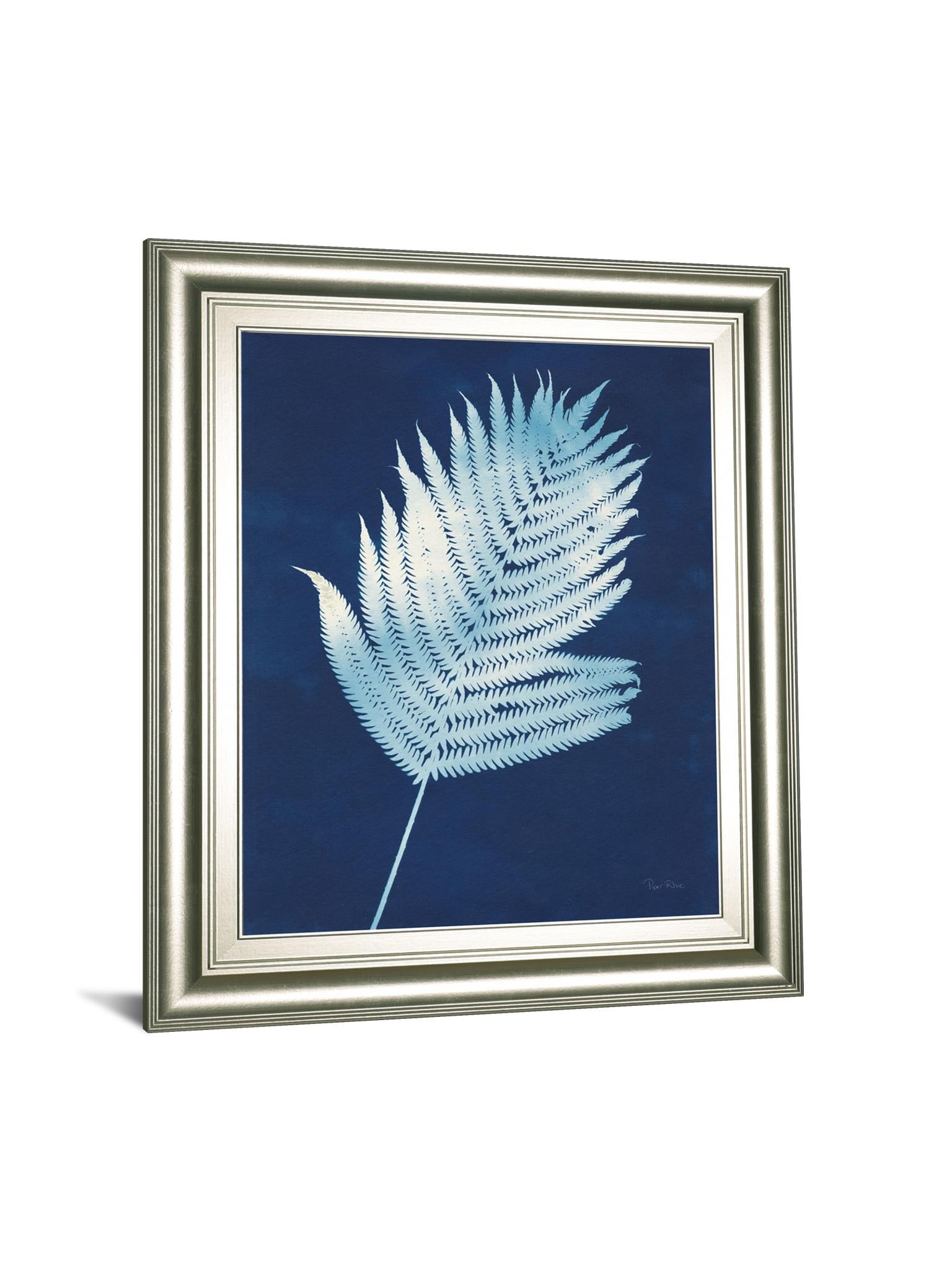 Nature By The Lake Ferns Iii By Piper Rhue 22X26 Framed Print
