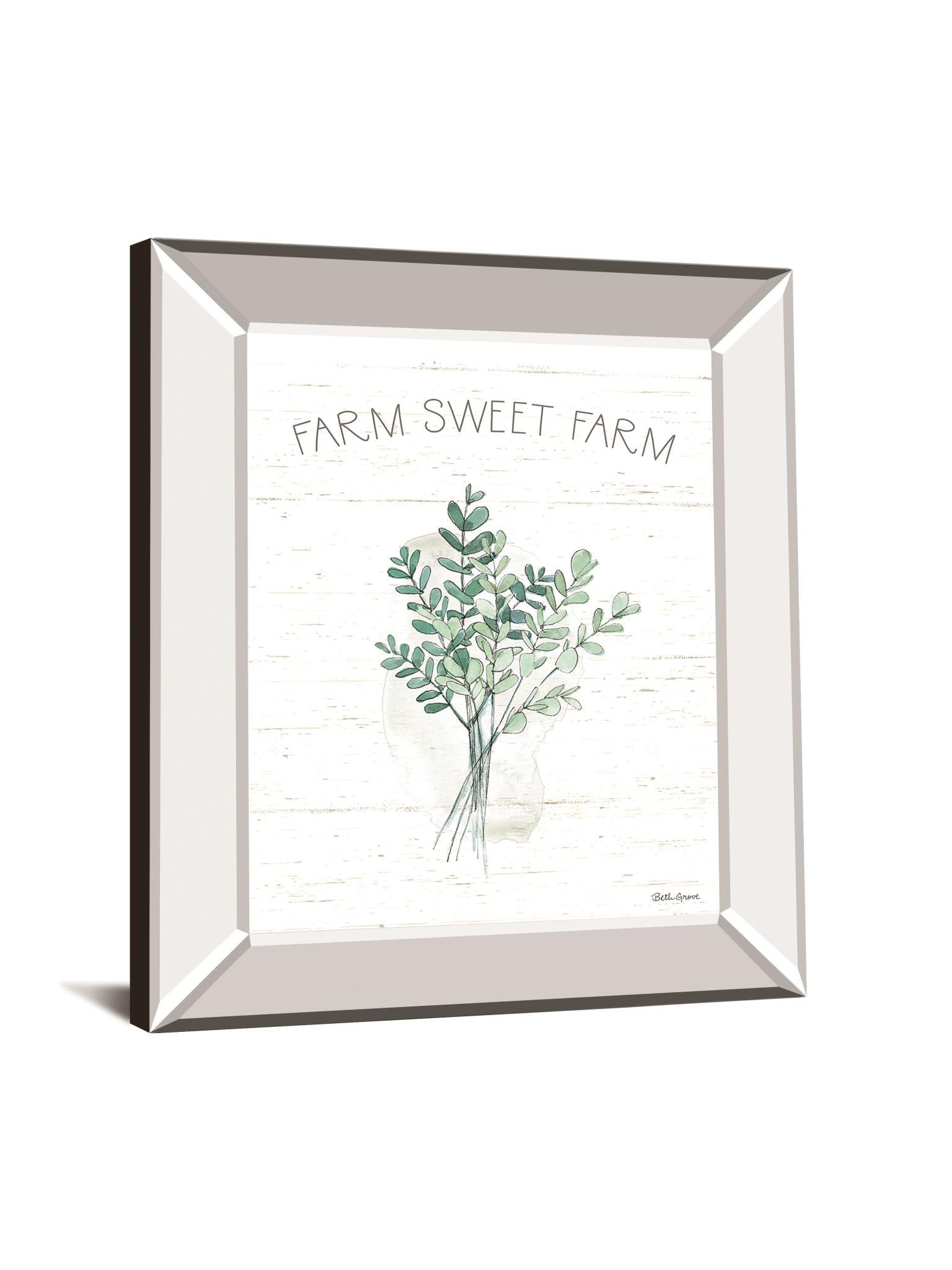 Farmhouse Cotton V By Beth Grove 22X26 Mirror Frame Print