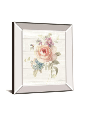 Cottage Garden Iii Shiplap By Danhui Nai 22X26 Mirror Frame Print