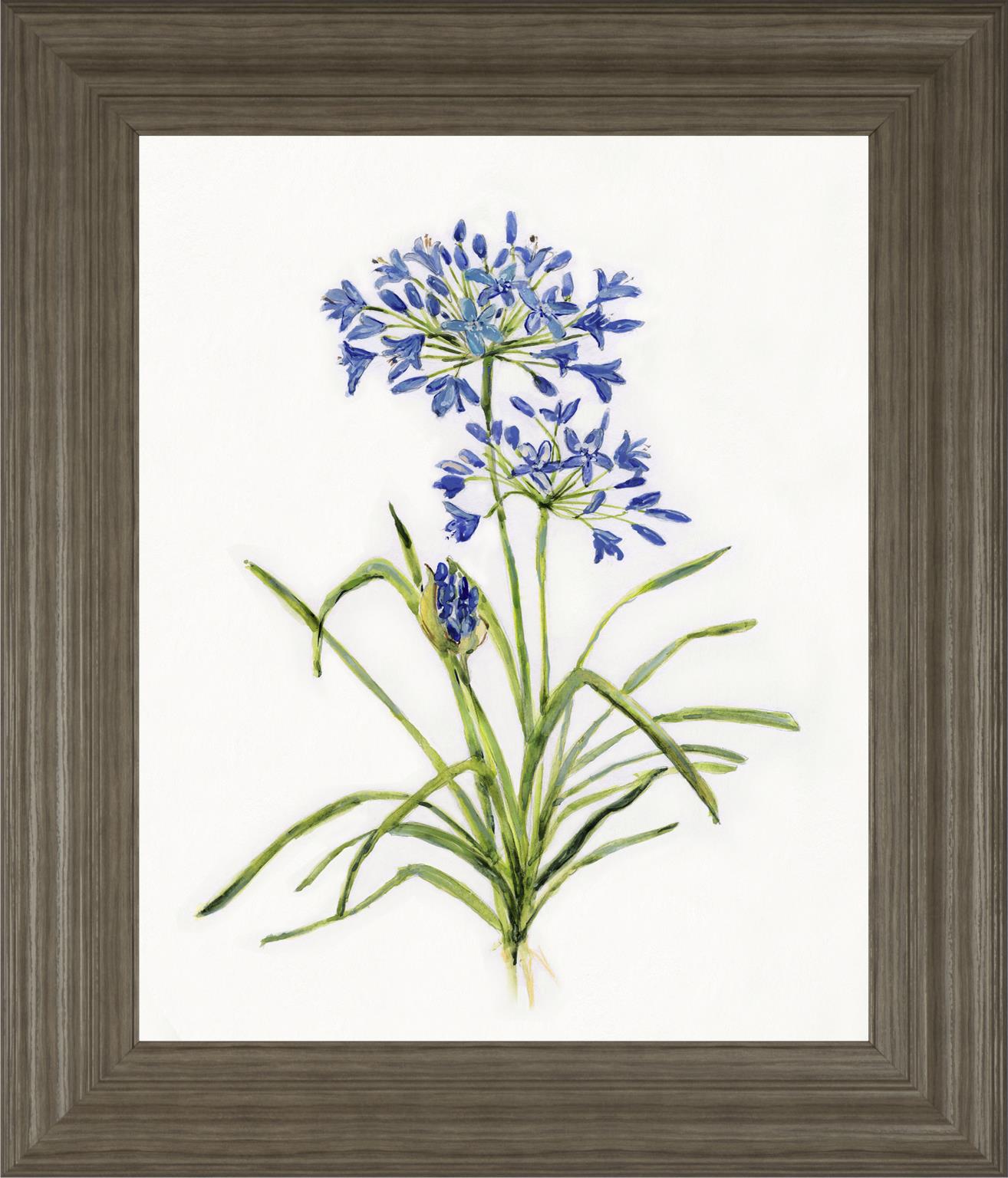 Blue Lively Botanical I By Sally Swatland 22X26 Framed Print