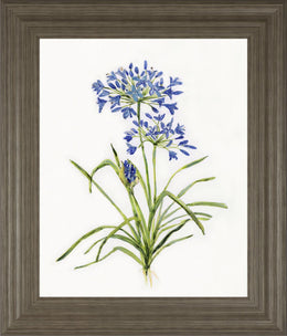 Blue Lively Botanical I By Sally Swatland 22X26 Framed Print