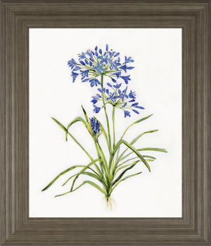 Blue Lively Botanical I By Sally Swatland 22X26 Framed Print