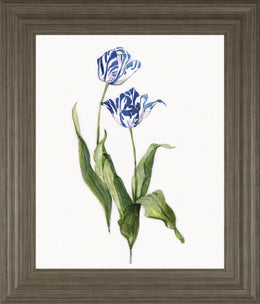 Blue Lively Botanical Ii By Sally Swatland 22X26 Framed Print