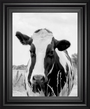 On The Pasture By Lars Van De Goor 22X26 Framed Print