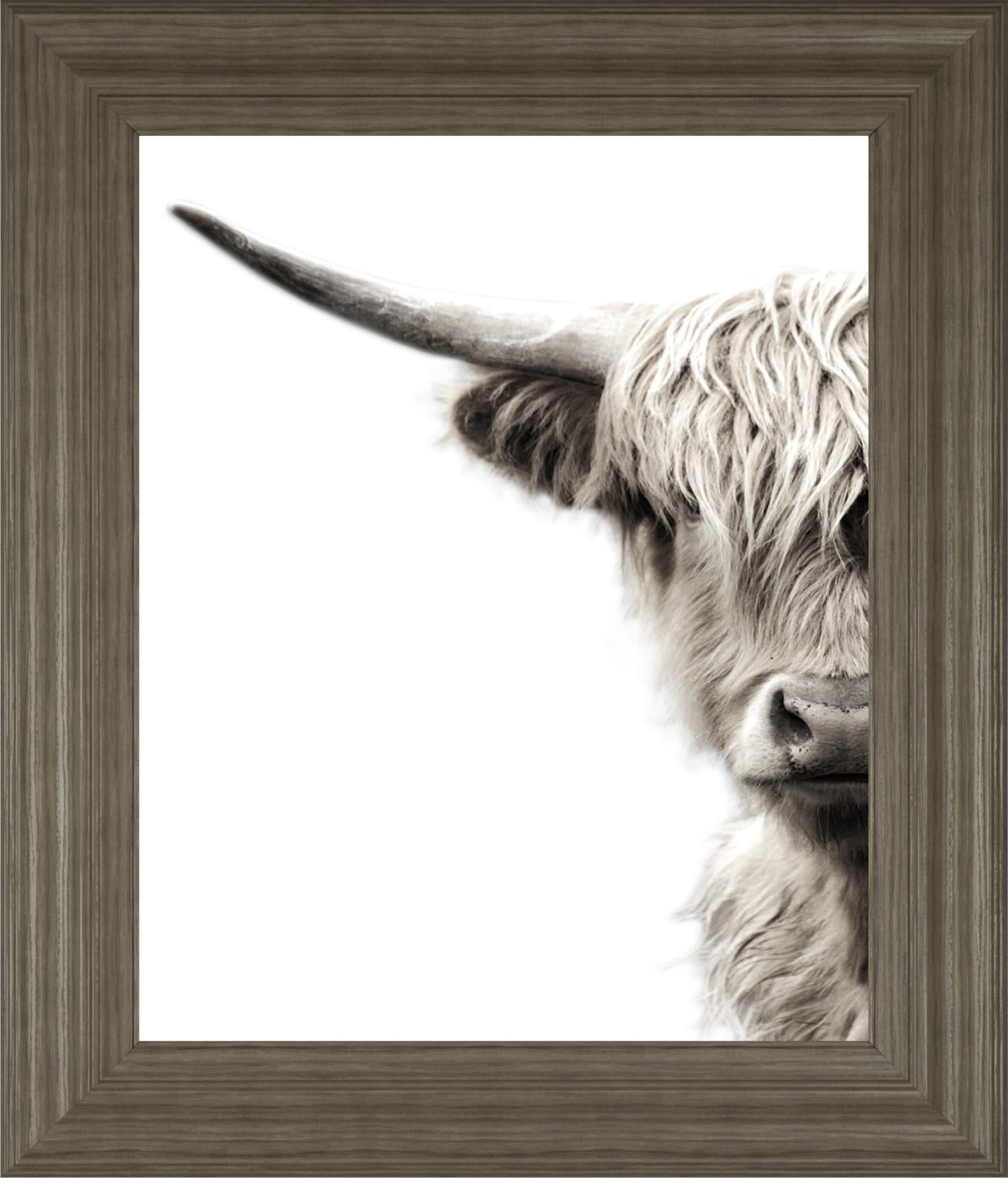 Highland Cattle By Danita Delimont 22X26 Framed Print