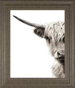 Highland Cattle By Danita Delimont 22X26 Framed Print