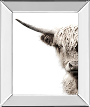 Highland Cattle By Danita Delimont 22X26 Mirror Frame Print
