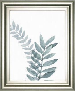 Blue Botanical Wash Ii By Conrad Knutsen 22X26 Framed Print