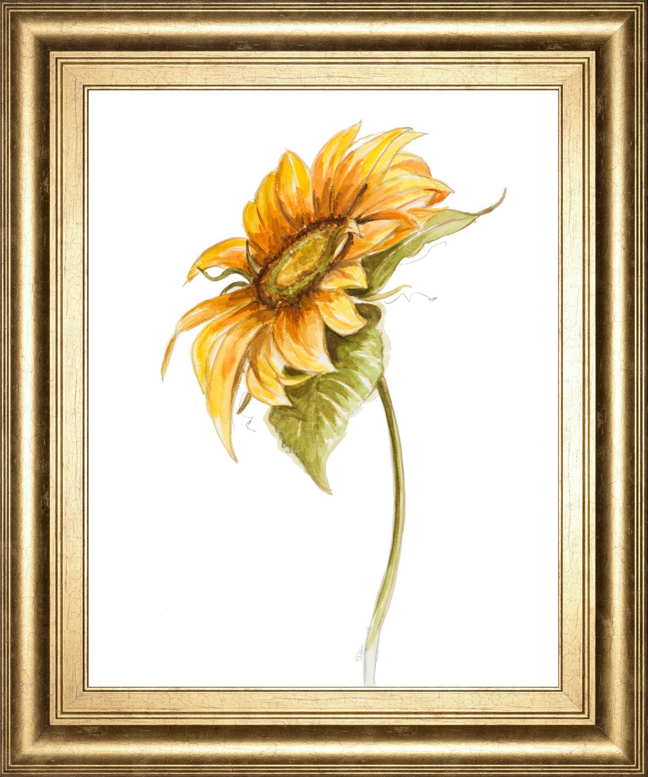 Harvest Gold Sunflower I By Patriciapinto 22X26 Framed Print
