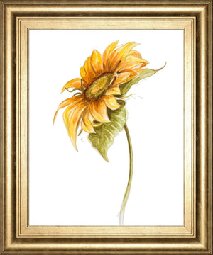 Harvest Gold Sunflower I By Patriciapinto 22X26 Framed Print