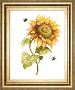 Harvest Gold Sunflower Ii By Patriciapinto 22X26 Framed Print