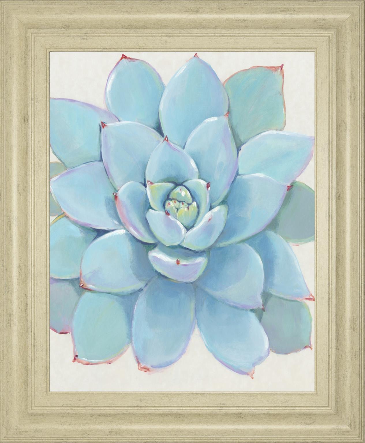 Pastel Succulent I By Tim Otoole 22X26 Framed Print