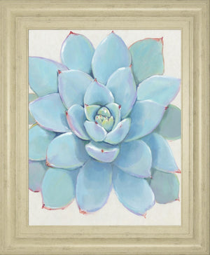 Pastel Succulent I By Tim Otoole 22X26 Framed Print