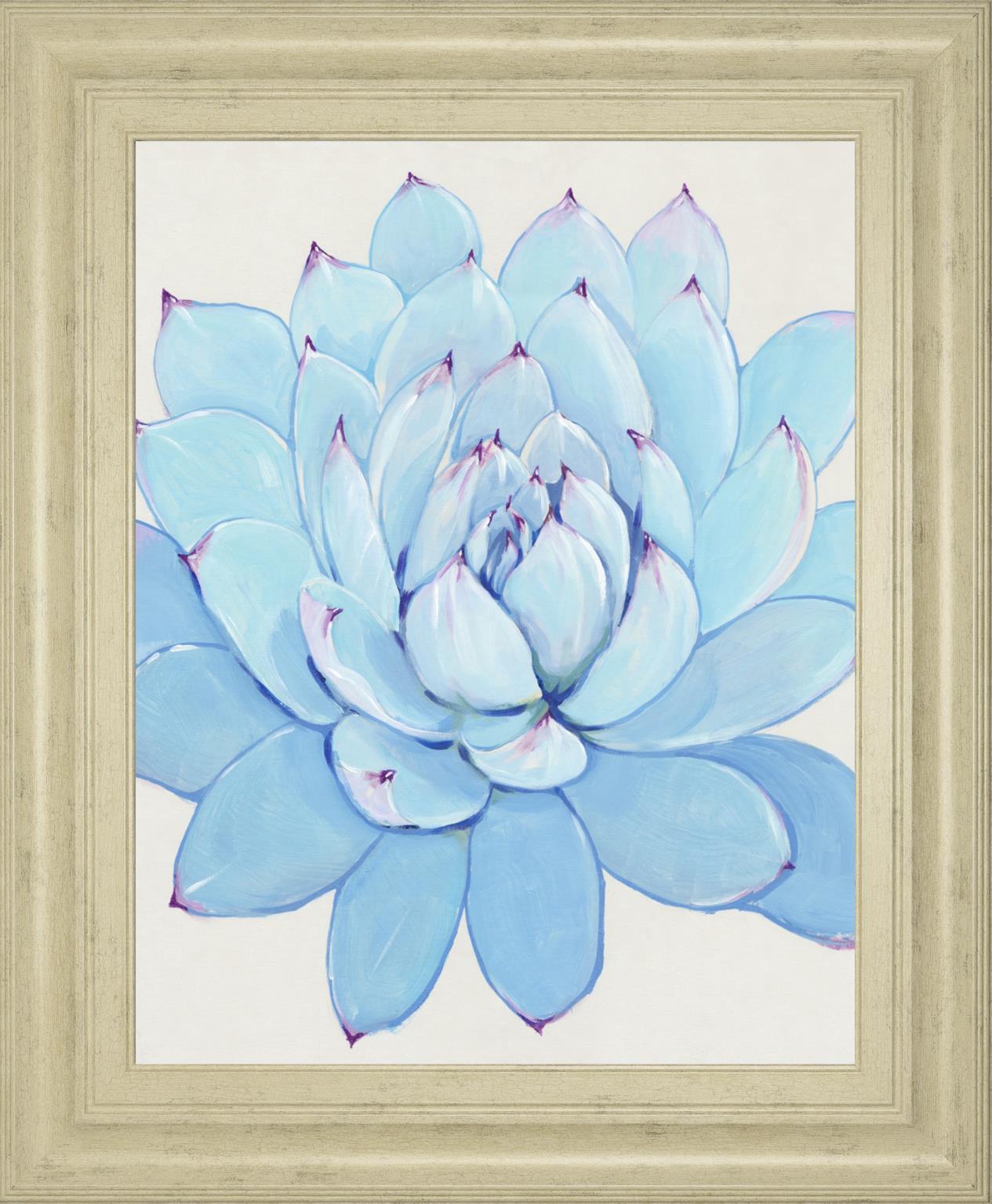 Pastel Succulent Ii By Tim Otoole 22X26 Framed Print