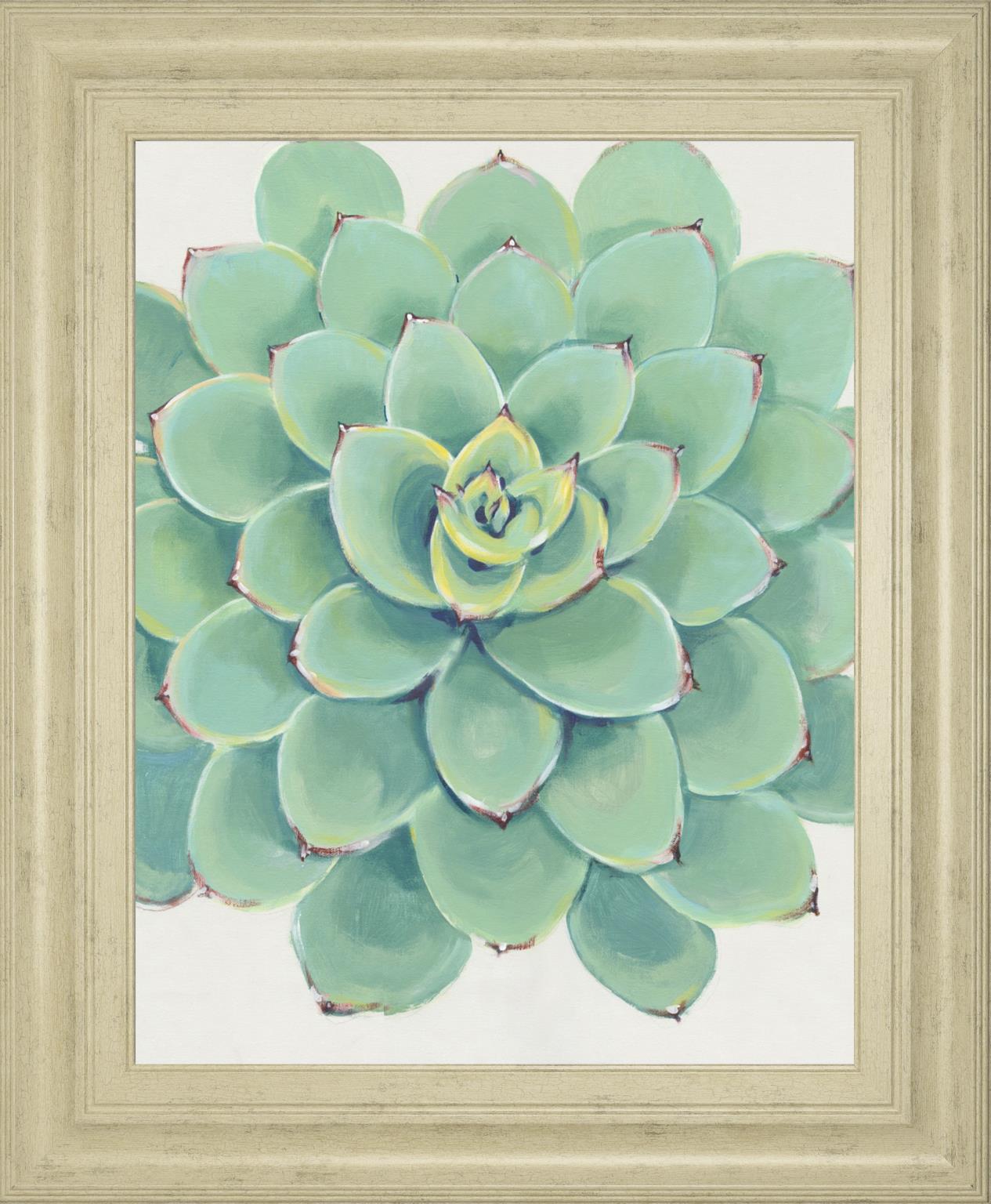 Pastel Succulent Iii By Tim Otoole 22X26 Framed Print