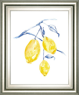 Watercolor Lemons I By Jennifer Goldberger 22X26 Framed Print