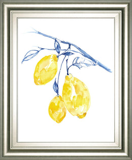 Watercolor Lemons Ii By Jennifer Goldberger 22X26 Framed Print