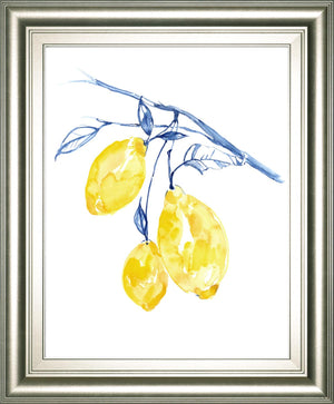 Watercolor Lemons Ii By Jennifer Goldberger 22X26 Framed Print