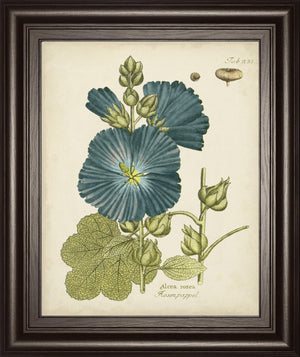 Eloquent Botanical Iv By Vision Studio 22X26 Framed Print