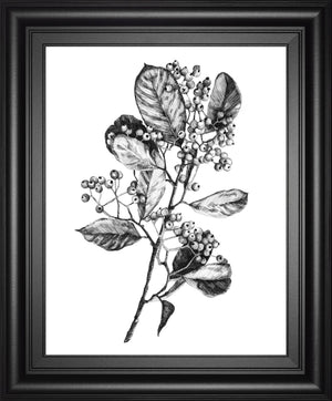 Hawthorn Berry Branch I By Emma Scarvey 22X26 Framed Print