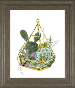 Wild Terrarium I By Grace Popp 22X26 Framed Print