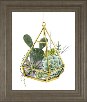 Wild Terrarium I By Grace Popp 22X26 Framed Print