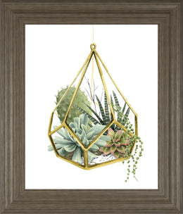 Wild Terrarium Ii By Grace Popp 22X26 Framed Print