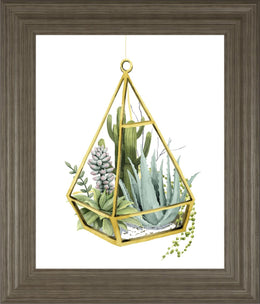 Wild Terrarium Iii By Grace Popp 22X26 Framed Print